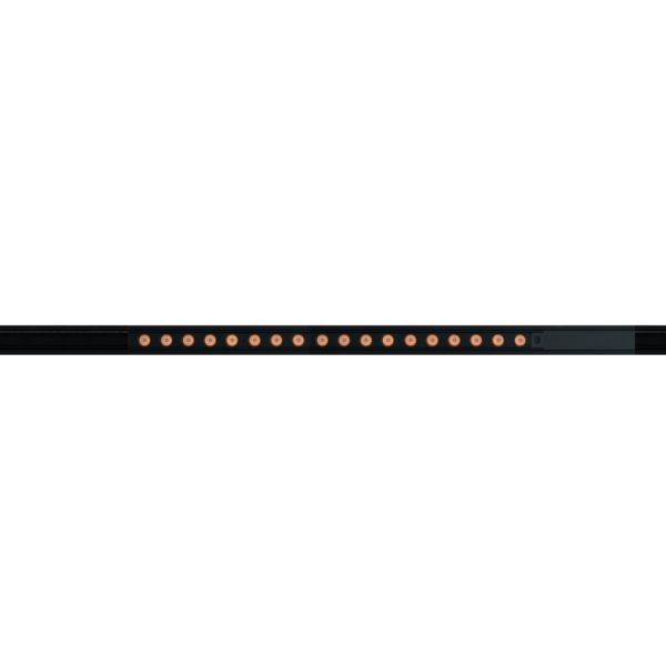 DOTS SLIM M