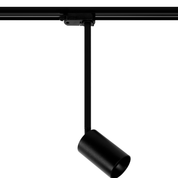 CROSTI LACCE TR XL