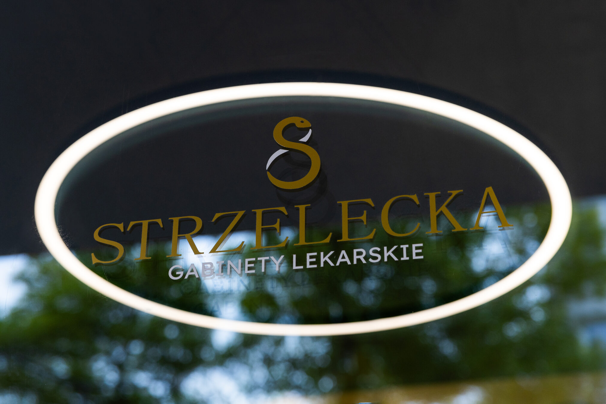 Gabinety Lekarskie Strzelecka 8 – Katowice
