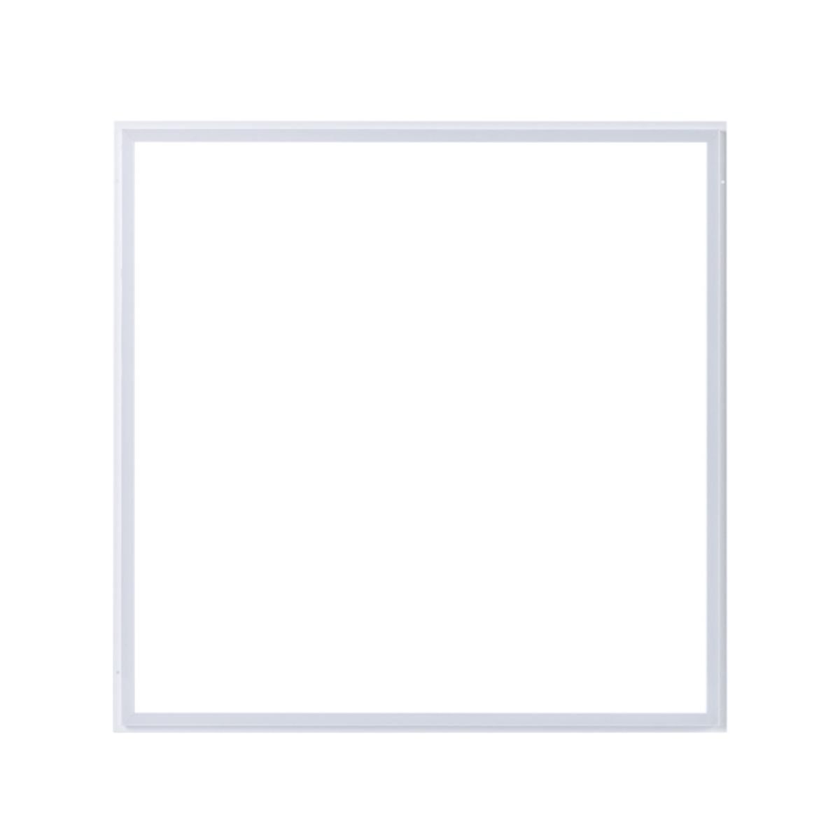 FELINA 60x60